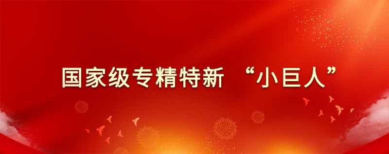 欧莱新材通过了国家专精特新“小巨人”企业认定公示