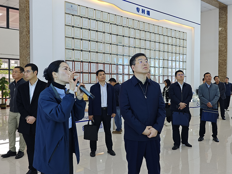 广东省人力资源社会保障厅副厅长黄毅到欧莱新材调研